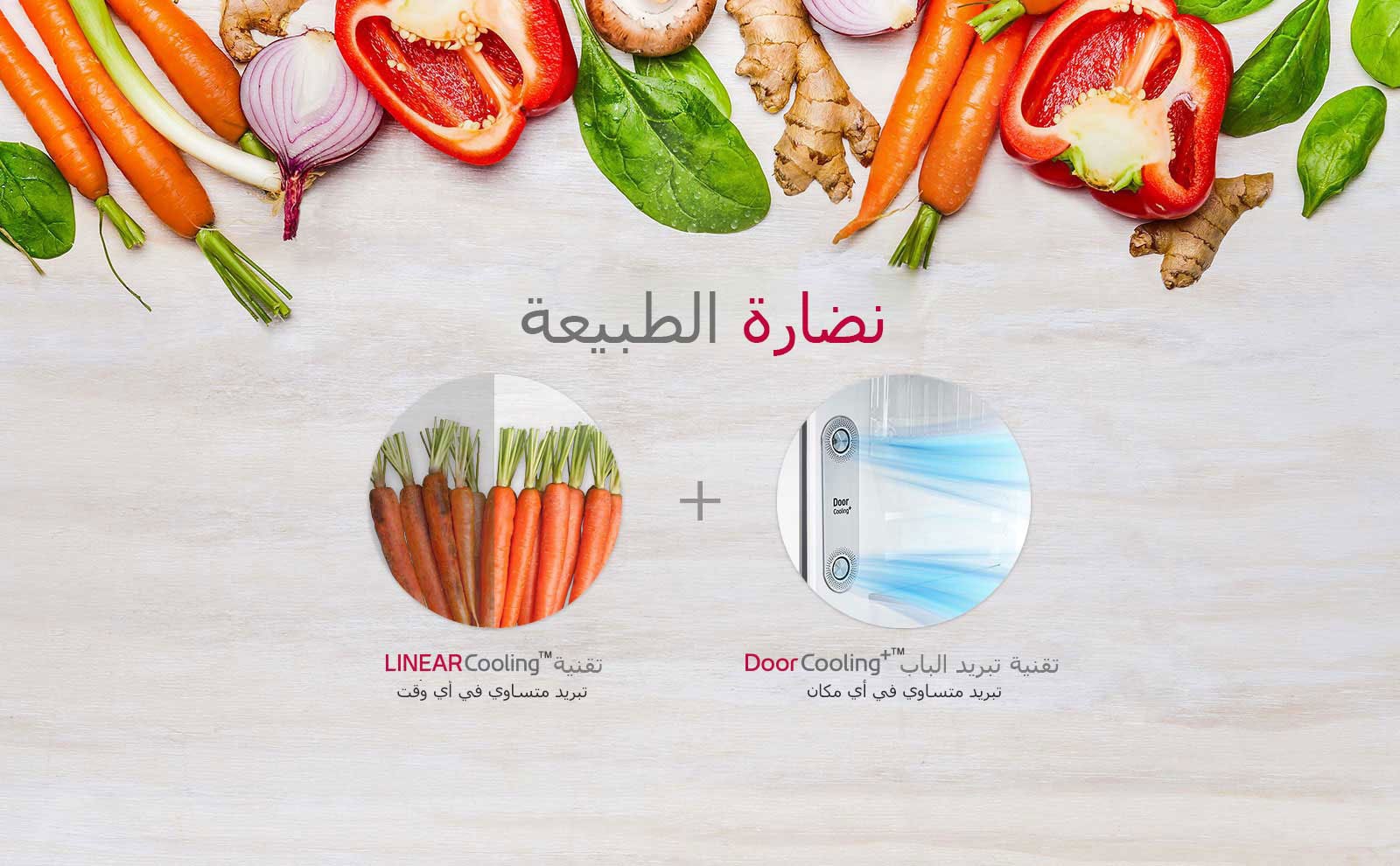 GR-C312SLBN_Feature_01_NatureFRESH_D-V2_24042019