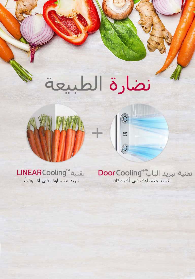 GR-C312SLBN_Feature_01_NatureFRESH_M_v1_24042019