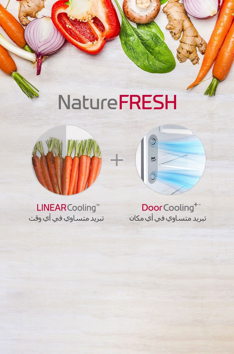 GR-C362RLBN_NatureFRESH_10042019_M