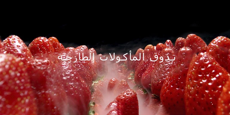 GR-F679HLHU_Global_Next8_2018_Feature_02_4_LinearCooling_M_08082019_F