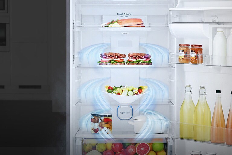 Lg ثلاجة بمجمدة علوية بلاتين فضي موزع مياه ضاغط طولي عاكس تقنية Doorcooling تدفق الهواء المتعدد التشخيص الذكي Lg الإمارات