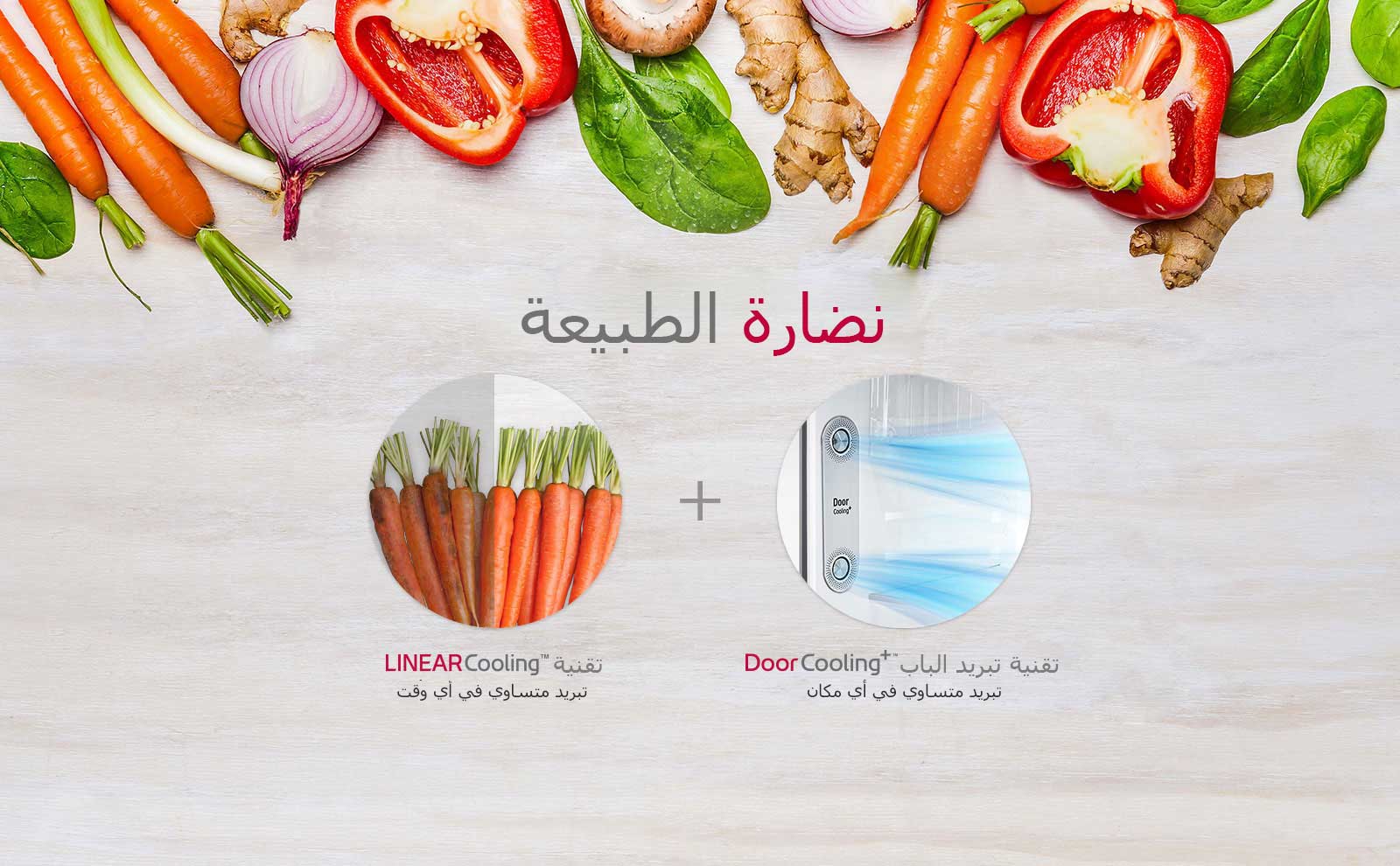 GR-H832HLHU_Feature_01_NatureFRESH_D_09042019