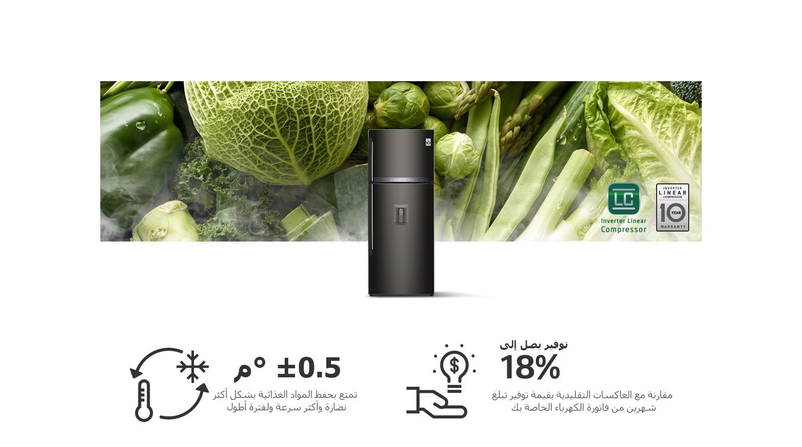 HnA-Inverter-02-2-REF-Making-Life-Fresher-Desktop_v