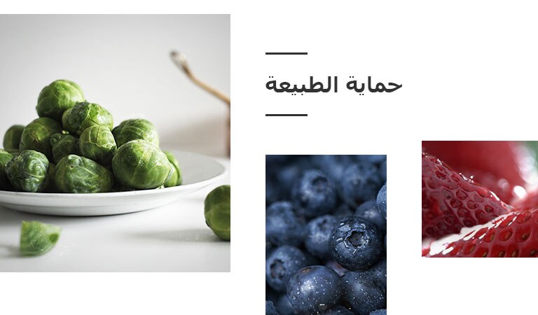 REF-NatureFRESH-Next8-01-Story-03-Saving-Nature-Mobile