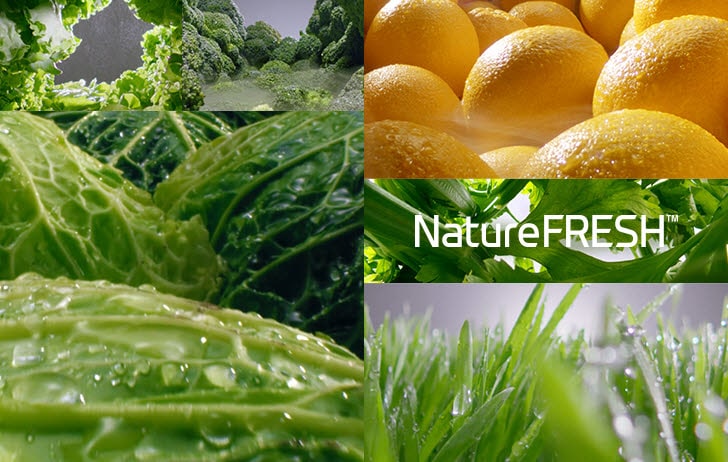 REF-NatureFRESH-Next8-01-Story-05-Large-Thumb04-Mobile