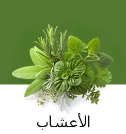 REF-NatureFRESH-Next8-03-UsefulTips-04-6-Herbs