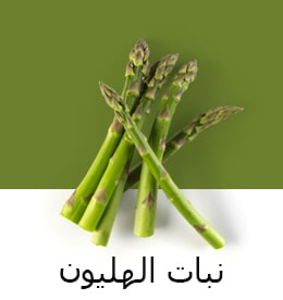 REF-NatureFRESH-Next8-03-UsefulTips-04-8-Asparagus