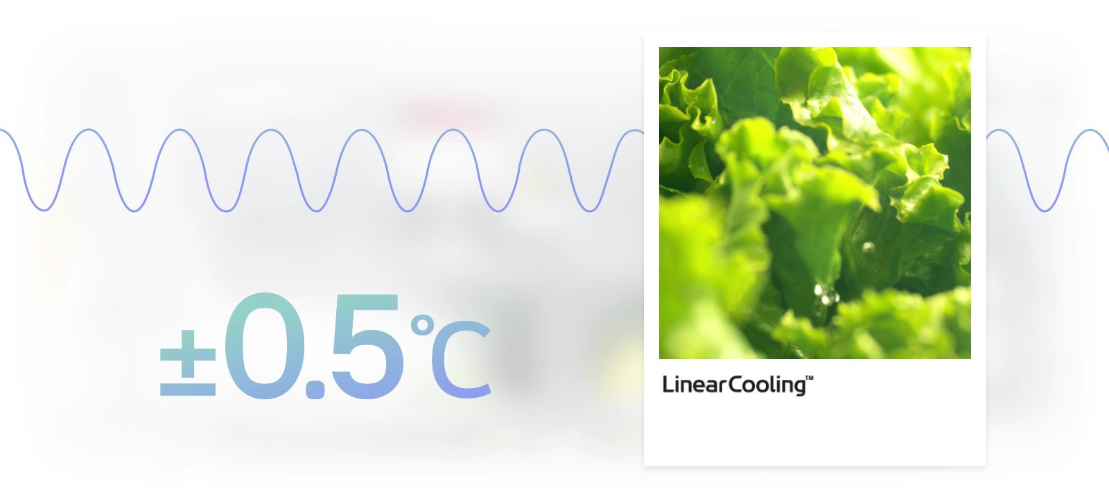 تحافظ تقنية Linear Cooling في ثلاجة LG على الطعام طازجًا لمدة 7 أيام مع التحكم في درجة الحرارة زائد أو ناقص 0.5 درجة مئوية.