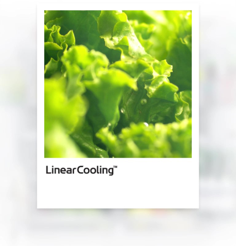 تحافظ تقنية Linear Cooling في ثلاجة LG على الطعام طازجًا لمدة 7 أيام مع التحكم في درجة الحرارة زائد أو ناقص 0.5 درجة مئوية.