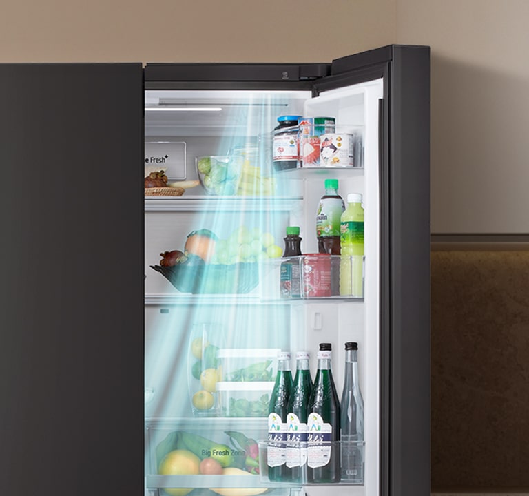 تساعد تقنية Door Cooling في ثلاجة LG متعددة الأبواب على الحفاظ على درجة حرارة ثابتة للأطعمة والمشروبات.