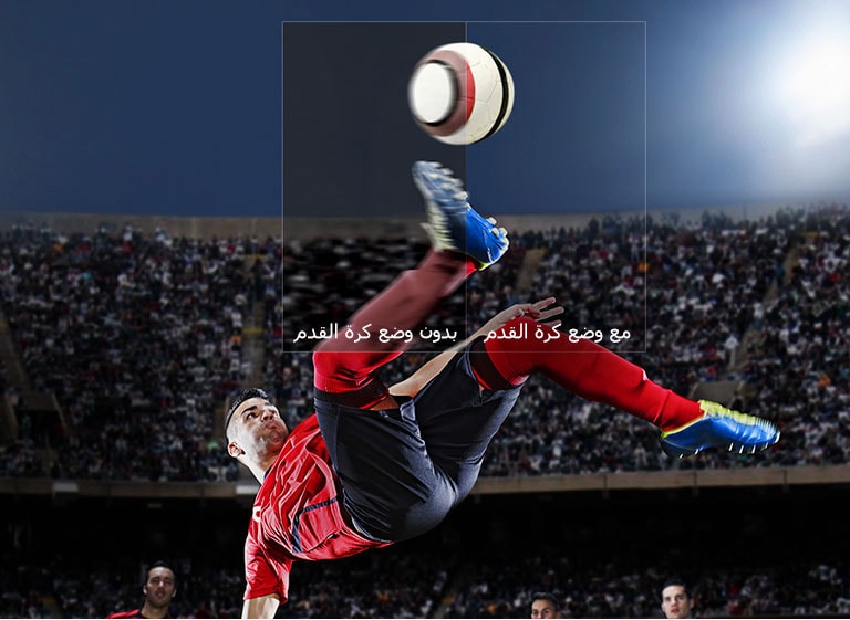 كل الإثارة بين يديك في غرفة معيشتك2