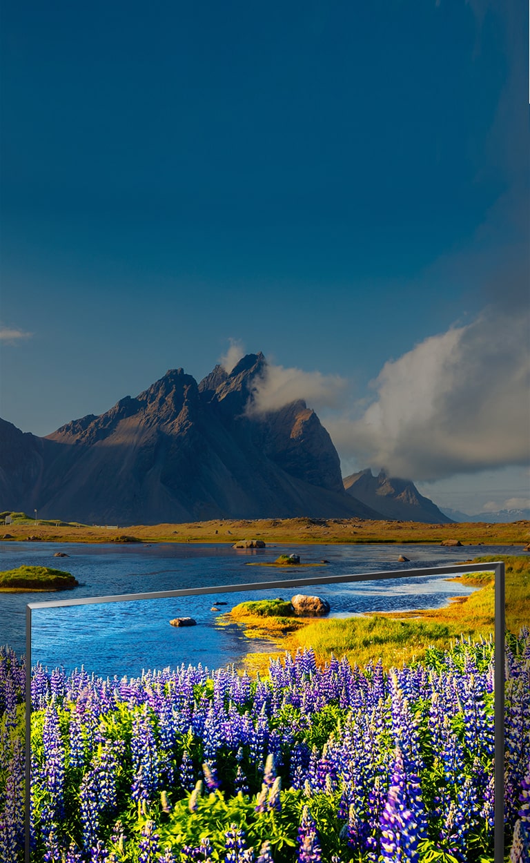 دقة عالية تمثل ثورة في وضوح الصورة واللون2