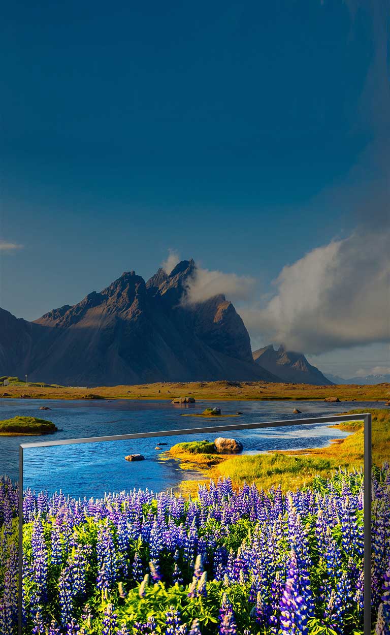 دقة عالية تمثل ثورة في وضوح الصورة واللون2