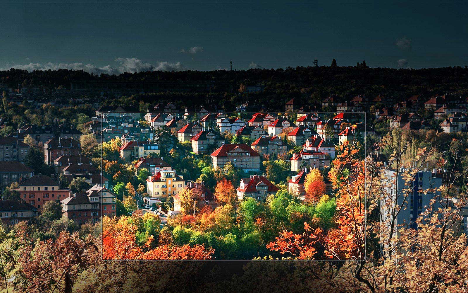 ألوان مذهلة عن طريق شاشة ™NanoCell<br>1