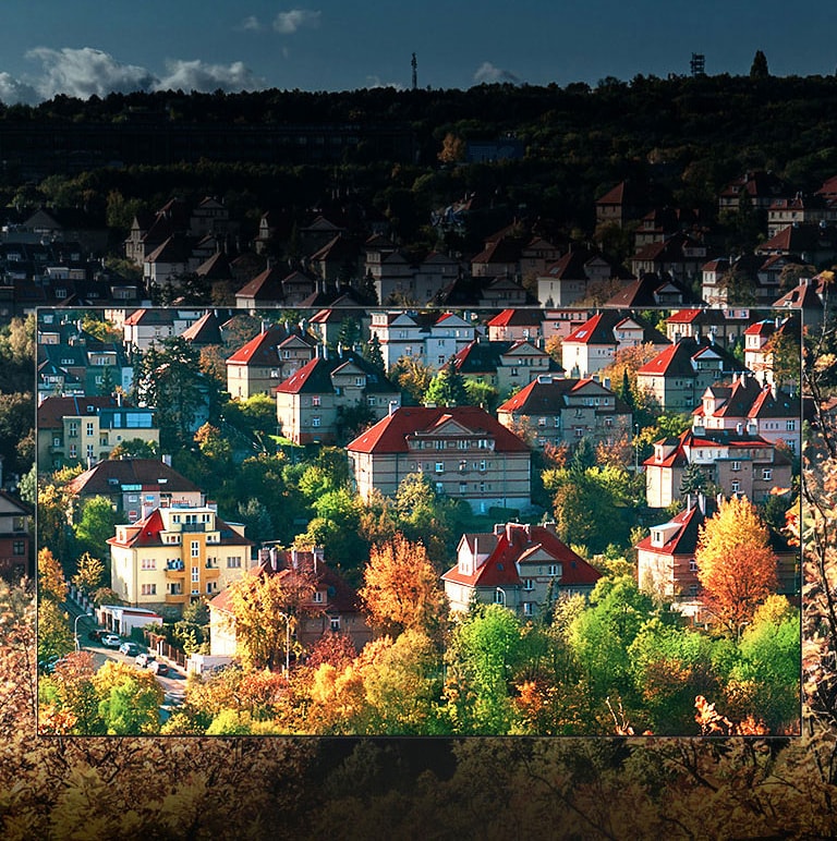 ألوان مذهلة عن طريق شاشة<br>™NanoCell<br>2