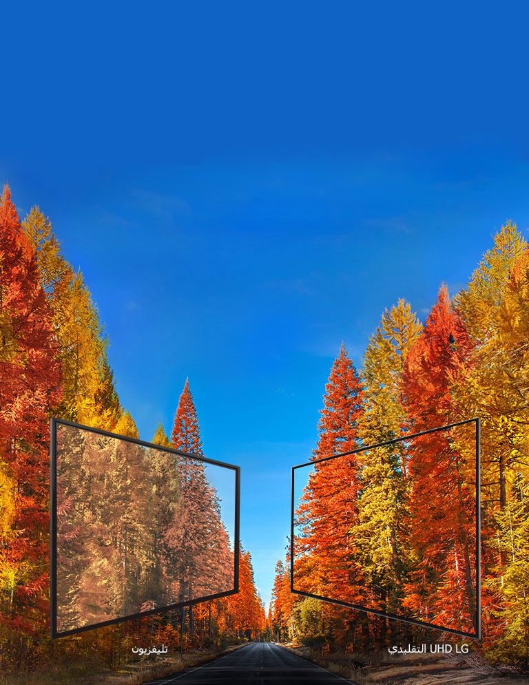 صورًا متناسقة من أي زاوية2