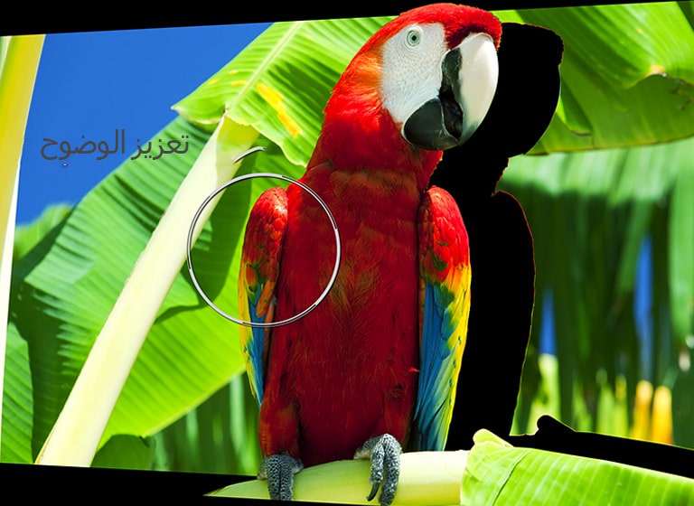 04_Alpha9_Sharpness_Enhancer_mobile