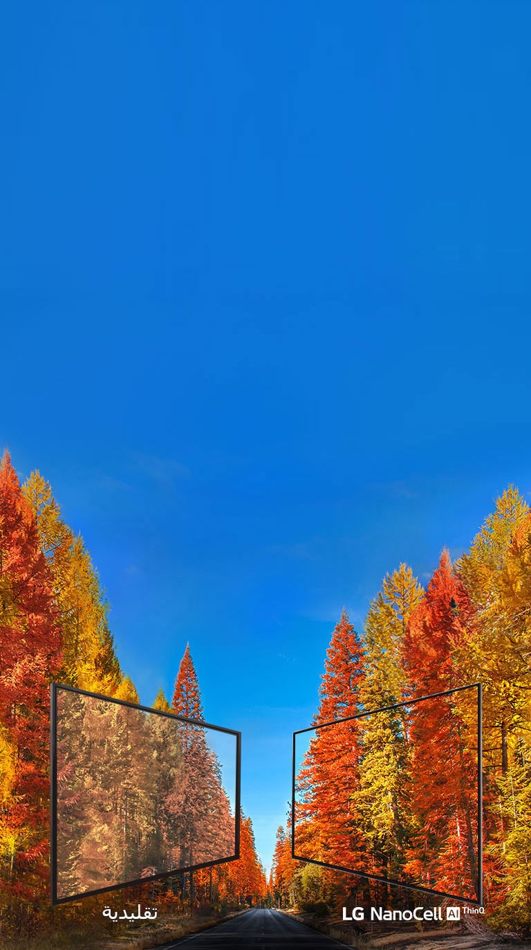 الكشف عن حقيقة الألوان في التلفزيون