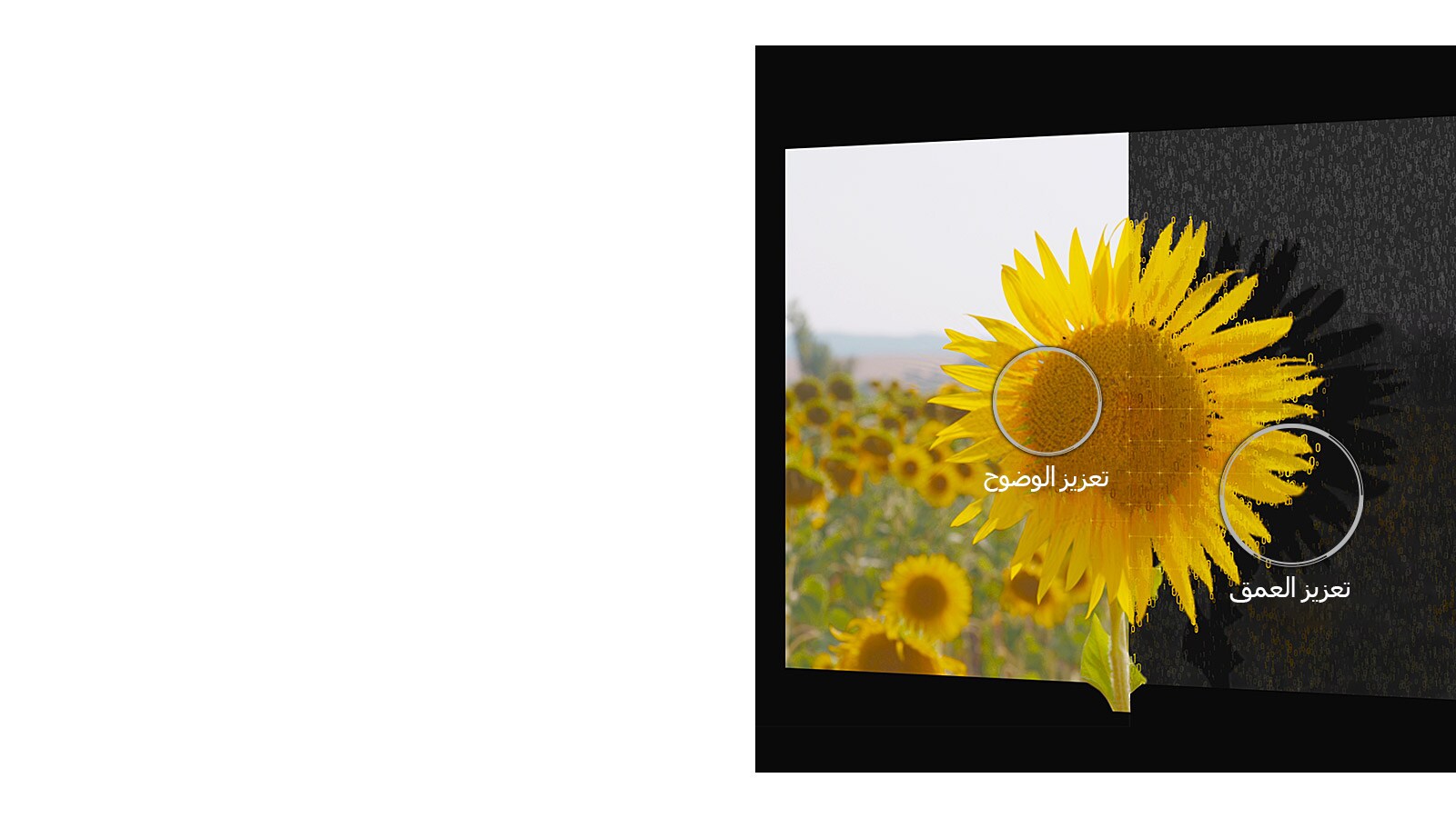 05_Alpha9_Depth_Enhancer_desktop