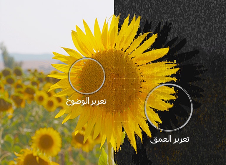 معزز عمق المجسم2