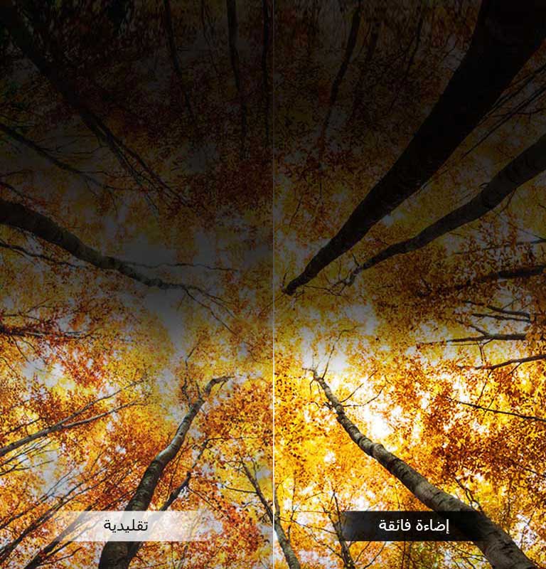   حدة صوت معزَّزة  2