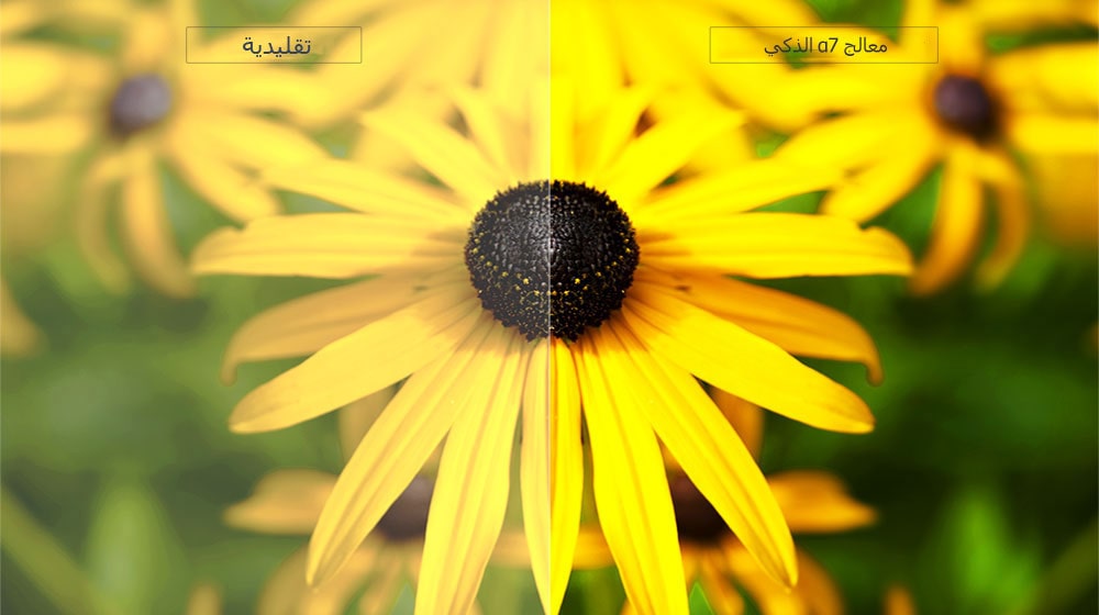 محسِّن عمق نشط2