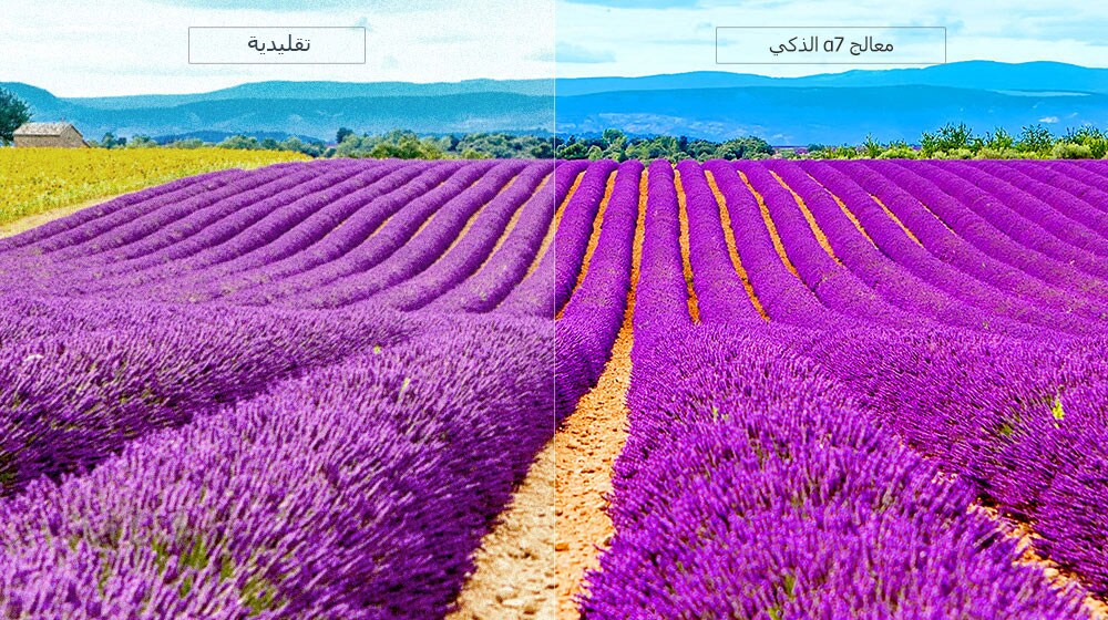 دقة اللون الحقيقي3