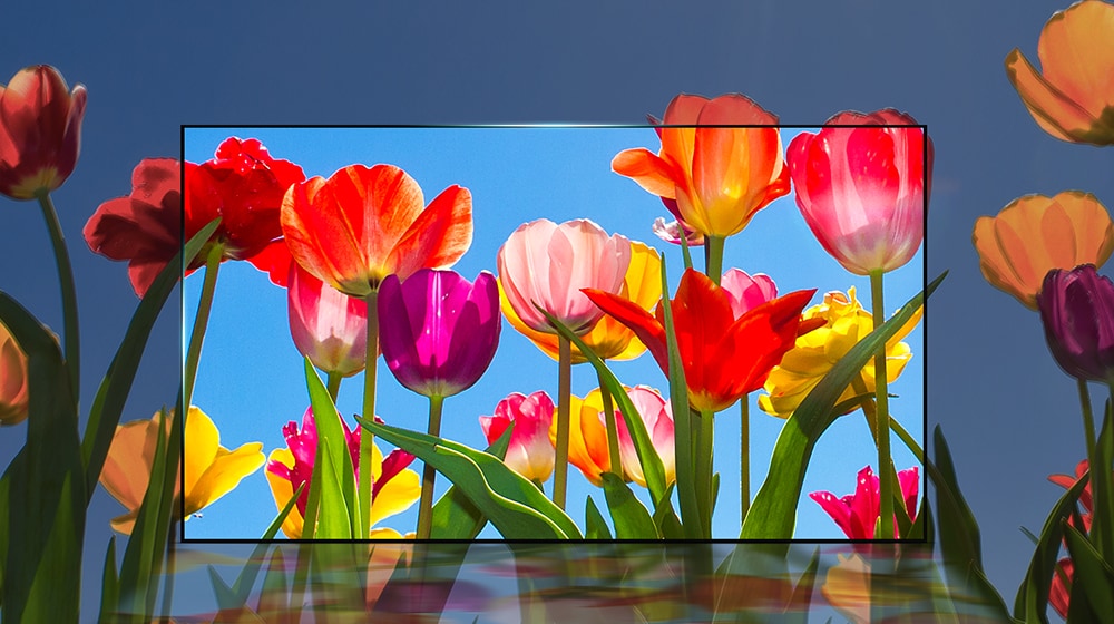 ألوان حقيقية وطبيعية<br>1