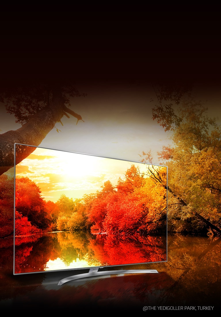 ألوان مقنعة من خلال مليار لون غني2