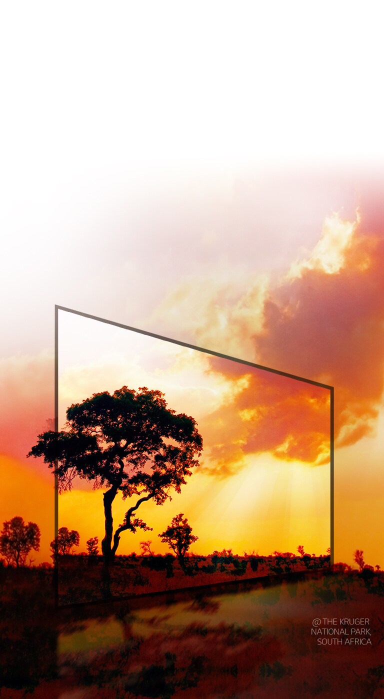 HDR النشط، على عكس HDRs التقليدية الأخرى