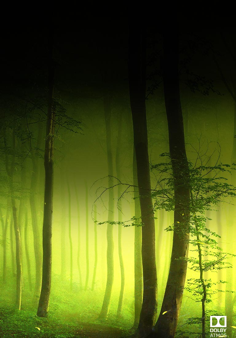 <sup>®</sup>Dolby Atmos صوت سينمائي في المنزل<br>2