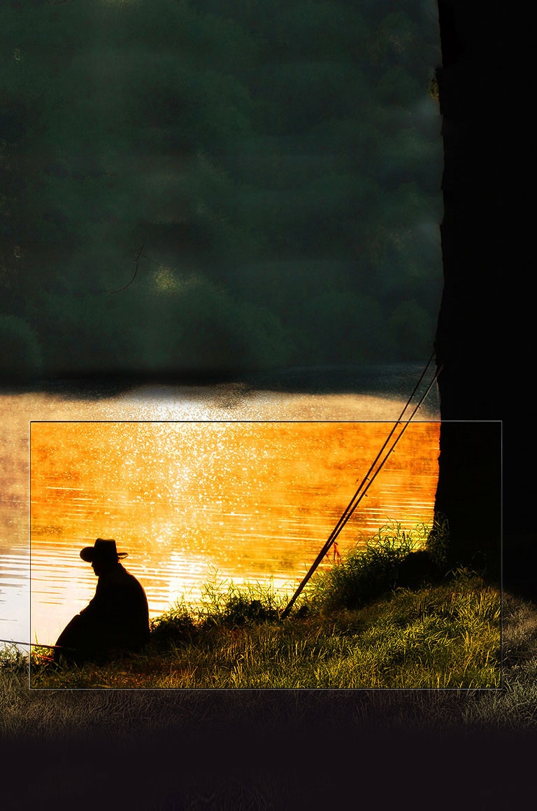 لون أسود مثالي. تباين مذهل.<br>2