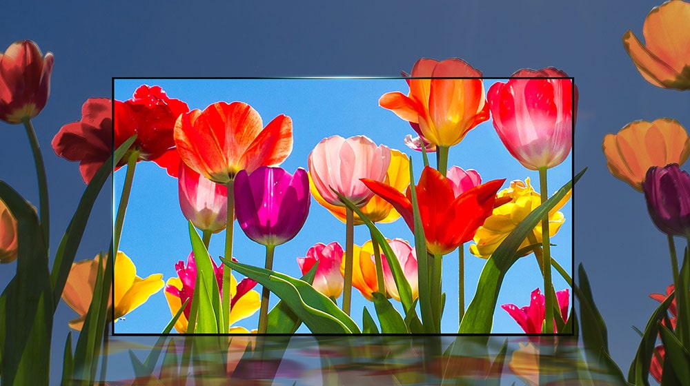 ألوان حقيقية رائعة<br>1