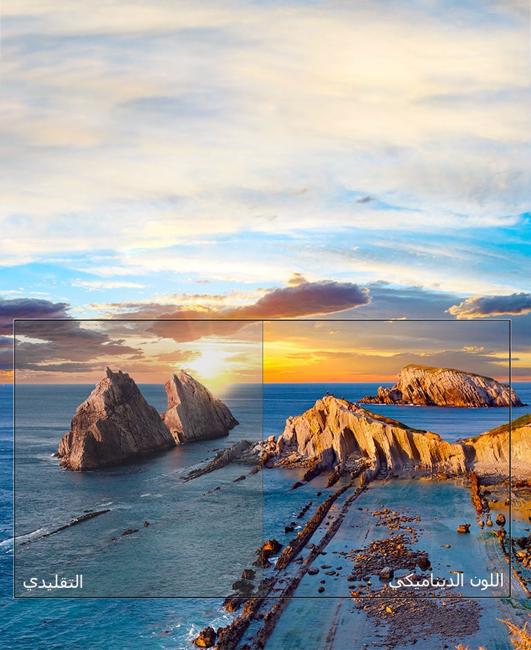 اللون الديناميكي<br>2