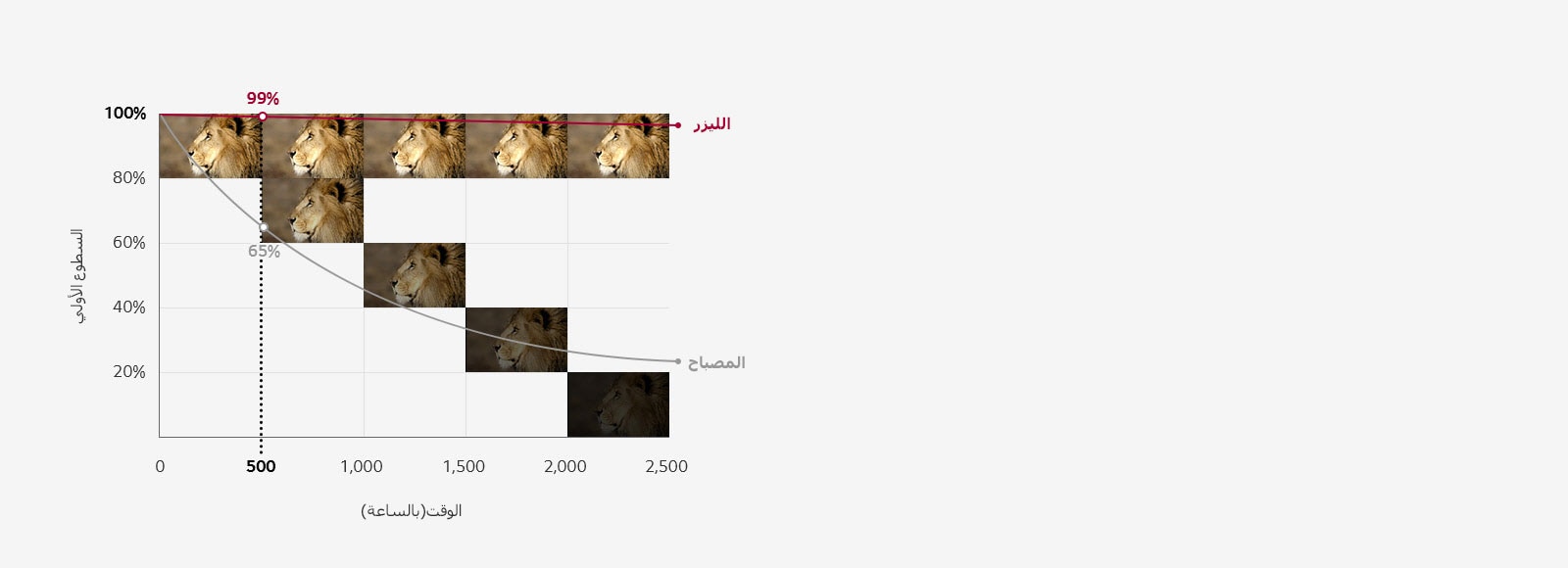 سطوع يدوم طويلا1