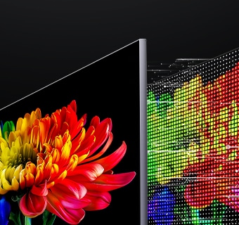 يعرض LG Micro RGB evo AI MRGB95، المدعوم بتقنية RGB Primary Color Ultra، صورة زهرة على الشاشة، مع ضوء أحمر وأخضر وأزرق يتم التحكم فيه بدقة من محركات Micro RGB AI متميزة للحصول على ألوان زاهية ودقيقة.