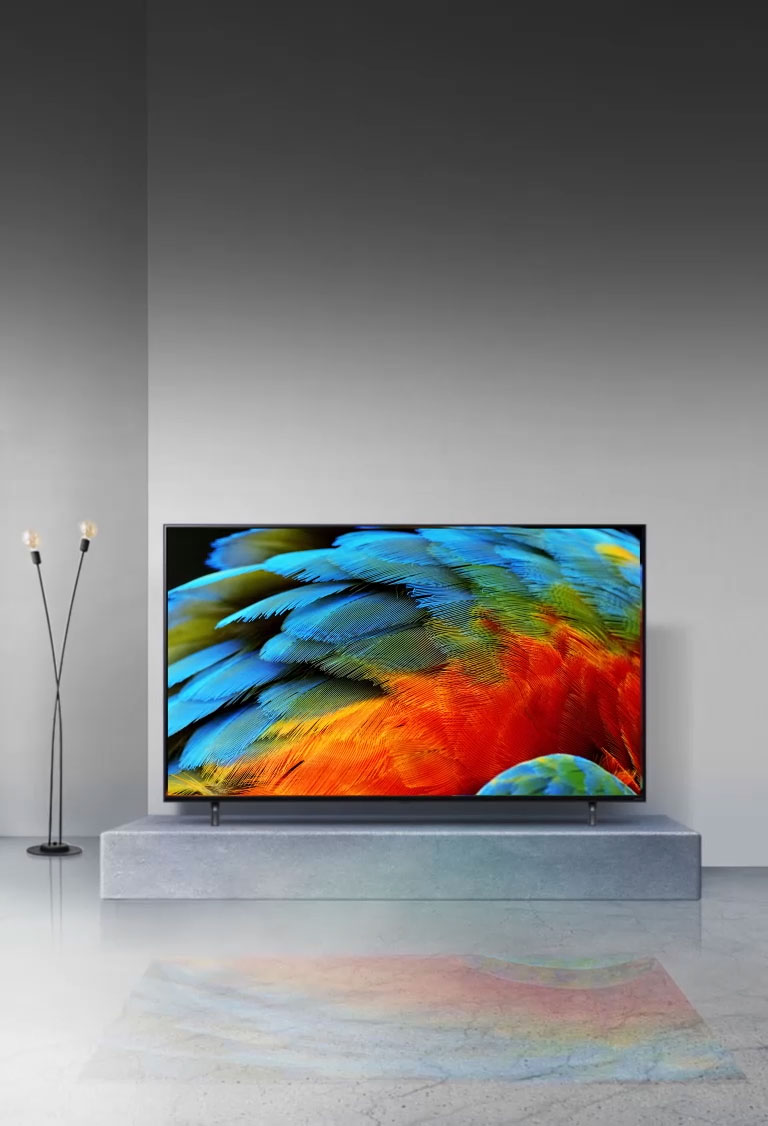  لقطة مقربة للتفاصيل الدقيقة لريش طائر ملون تم تحسينها باستخدام معالج (α7 Gen5 AI Processor 4K).