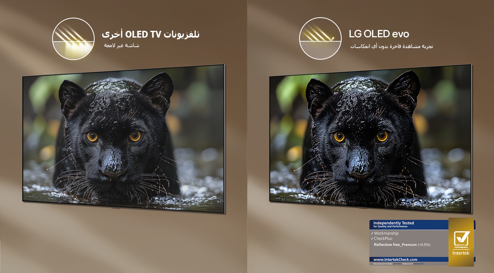 يعرض LG OLED evo AI G6 المزود بميزة Reflection Free Premium مقارنة جنبًا إلى جنب مع الشاشة غير اللامعة في أجهزة OLED TV الأخرى، حيث تبقى صورة النمر الأسود واضحة مع درجات سوداء عميقة وتفاصيل دقيقة، خاصة في البيئات الساطعة، مع ظهور علامة اعتماد Intertek.