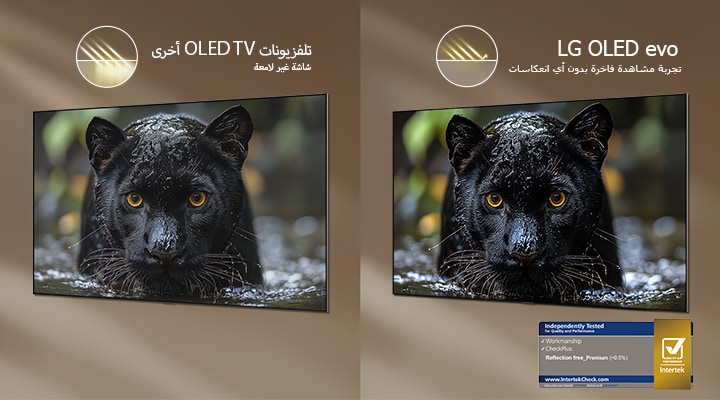 يعرض تلفزيون LG OLED evo AI W6 Wallpaper TV المزود بتقنية Reflection Free Premium مقارنة جنبًا إلى جنب مع شاشة مضادة للتوهج غير لامعة، حيث يحتفظ بصورة الفهد الأسود بوضوح مع درجات سواد عميقة وتفاصيل دقيقة، خاصة في البيئات الساطعة، ويظهر شعار اعتماد من Intertek.