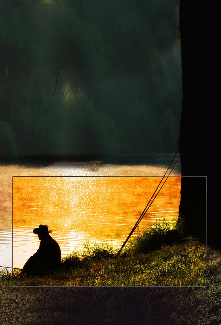 لون أسود مثالي. تباين مذهل.<br>2