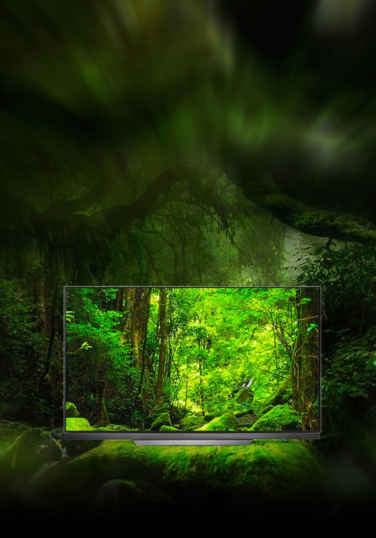 تجلب تقنية دولبي أتموس® صوت سينمائي إلى الغرفة2