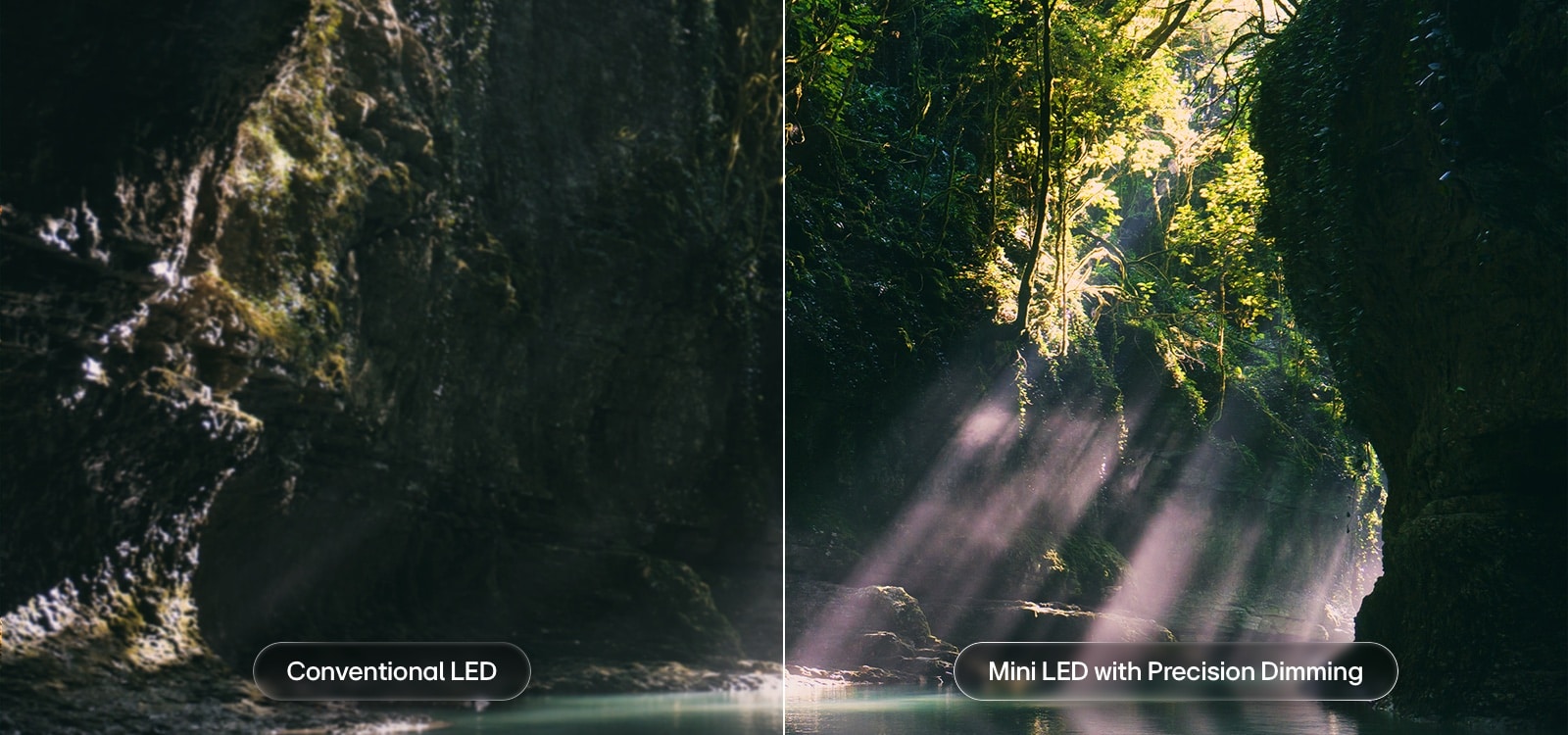 يُبرز تلفزيون LG QNED evo AI QNED85 Mini LED تقنية Mini LED مع Precision Dimming من خلال مشهد غابة منقسم، حيث تُظهر المقارنة مع LED التقليدي لونًا أسود أعمق وتباينًا أكثر دقة بينما تتسلل أشعة الشمس بين الأشجار، لتمنحك وضوحًا أعلى وعمقًا أكبر في الصورة.