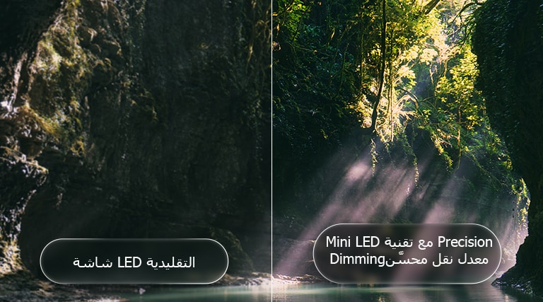 يُبرز تلفزيون LG QNED evo AI QNED85 Mini LED تقنية Mini LED مع Precision Dimming من خلال مشهد غابة منقسم، حيث تُظهر المقارنة مع LED التقليدي لونًا أسود أعمق وتباينًا أكثر دقة بينما تتسلل أشعة الشمس بين الأشجار، لتمنحك وضوحًا أعلى وعمقًا أكبر في الصورة.