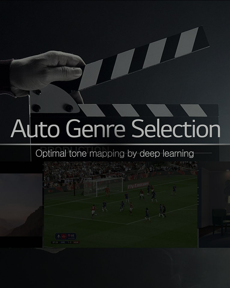 عرض فيديو للتحديد التلقائي للنوع