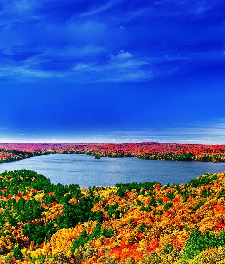 معالج رباعي النواة بدقة2