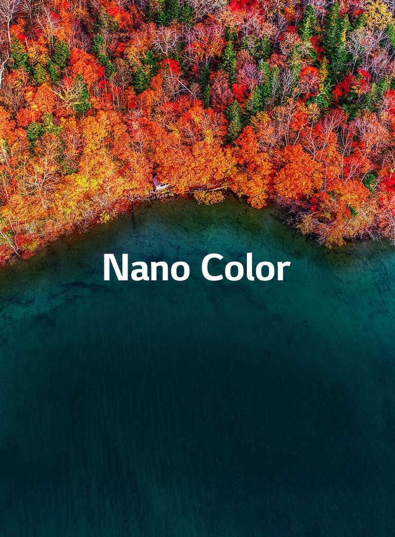 نقاء فائق للألوان2