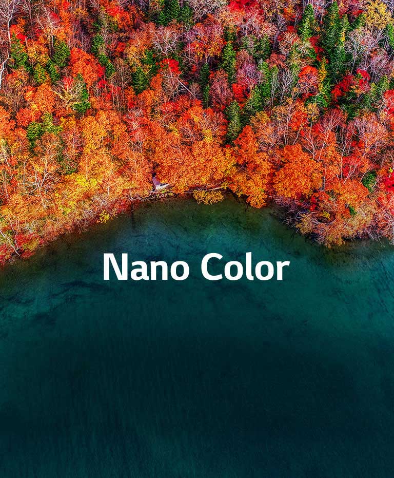 نقاء فائق للألوان2