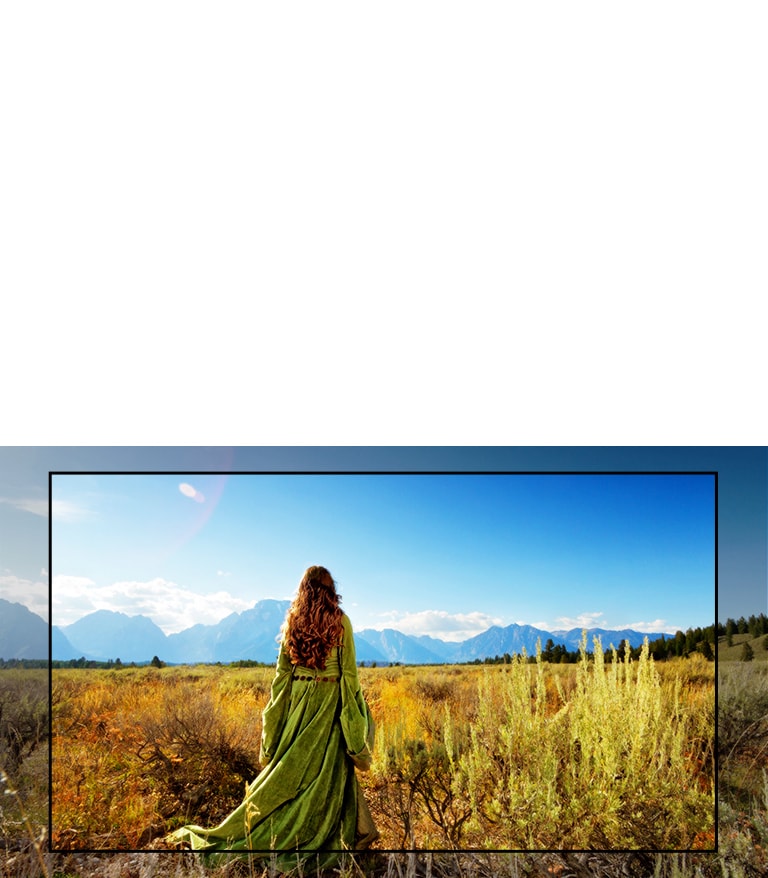 شاشة لتلفزيون يعرض أحد المشاهد من فيلم خيالي تظهر فيه امرأة تقف في الحقول المواجهة للجبال.