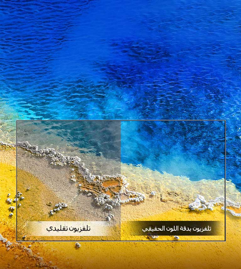 دقة اللون الحقيقي