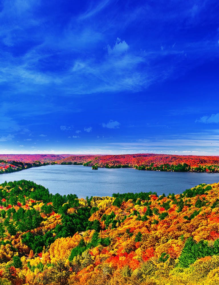 معالج رباعي النواة أصل صور 4K2